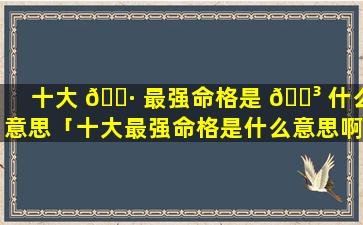 十大 🕷 最强命格是 🐳 什么意思「十大最强命格是什么意思啊」